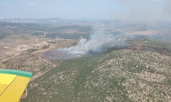 İzmir'de makilik alanda yangın!